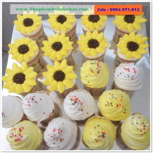 Bánh Sinh Nhật Cupcake - CUP17